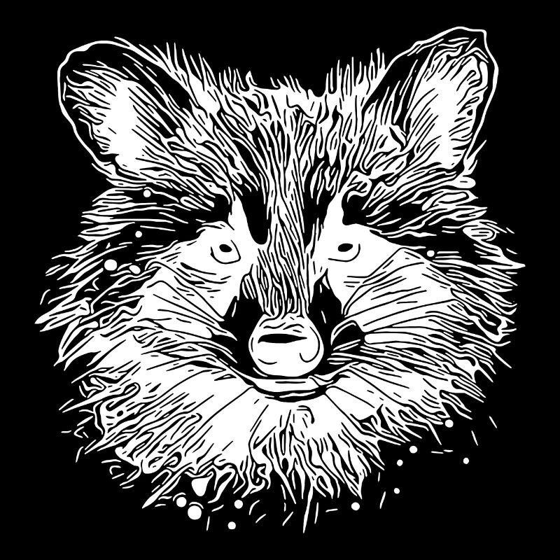 Portrait mignon de petit raton laveur