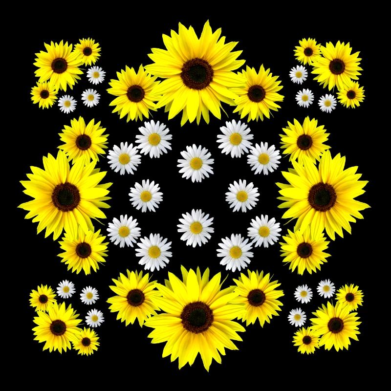 Margeriten Blüte Sonnenblume Gänseblümchen blumig
