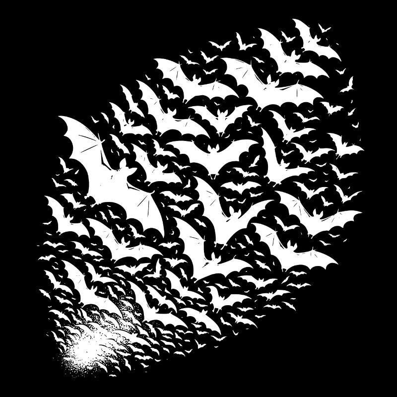 Essaim géant de chauves-souris