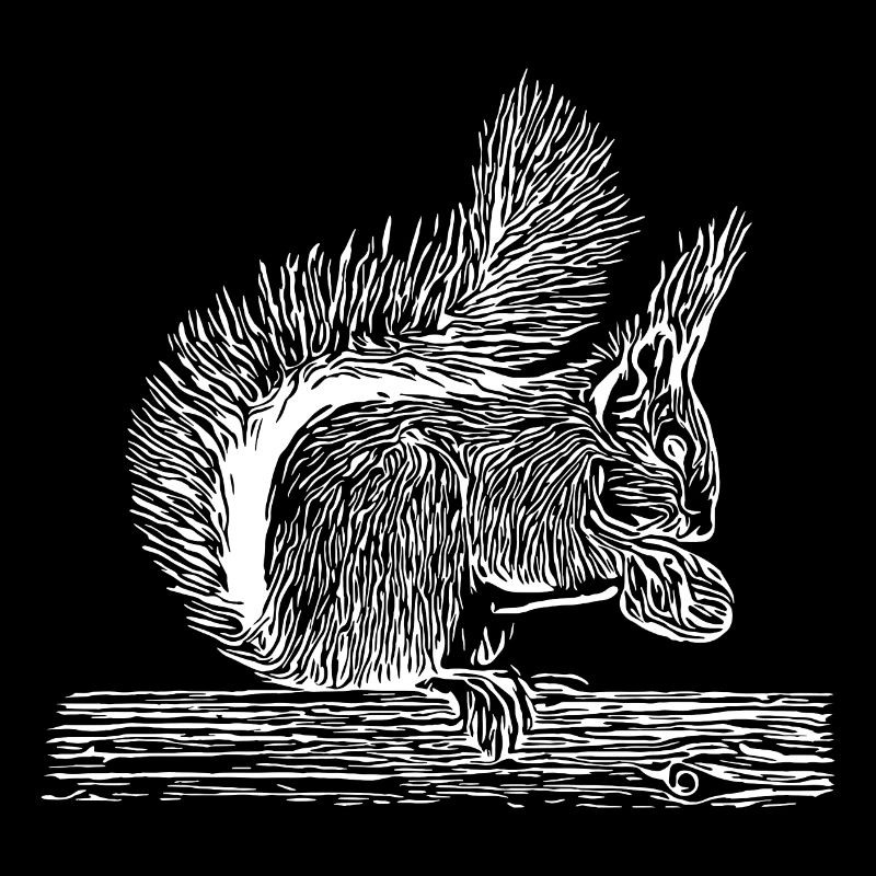 Süßes Eichhörnchen mit Nuss