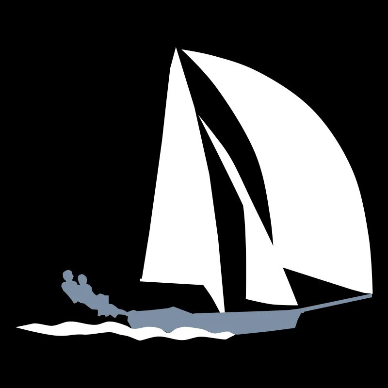 49er voile