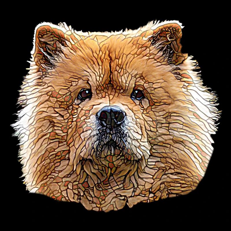 Chow Chow Visage