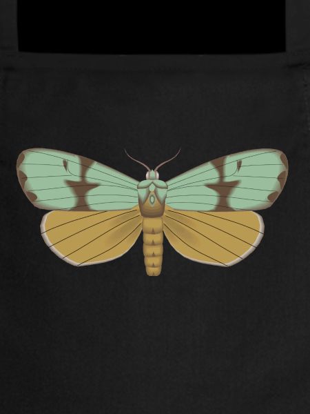 Papillon 115