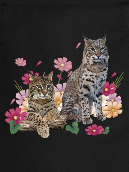 Lynx