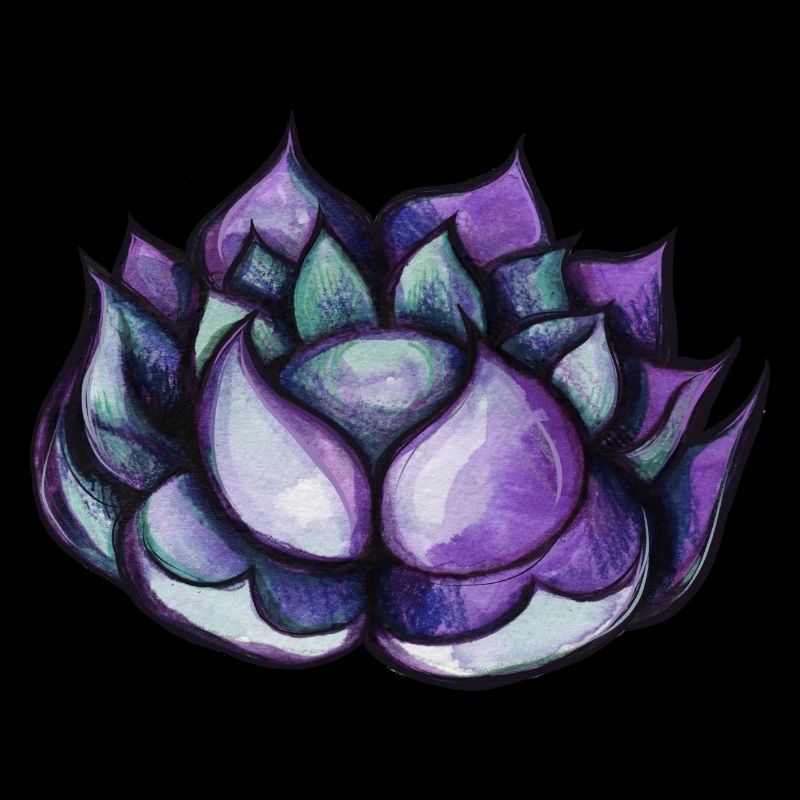 Fleur de lotus pourpre