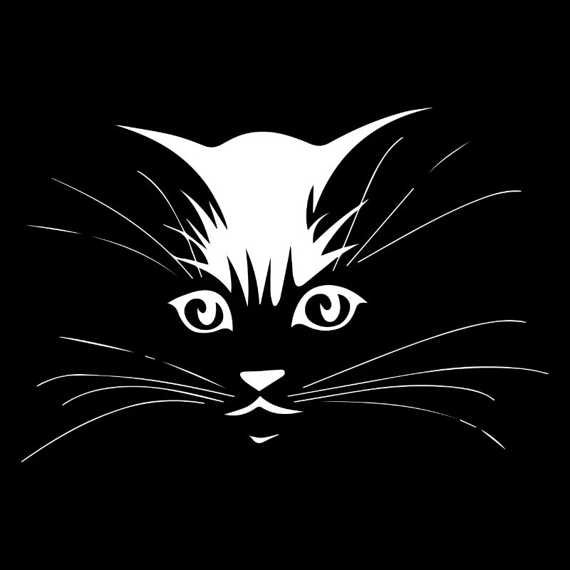 Chat Katze
