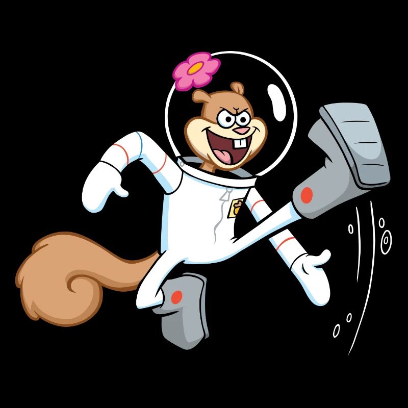 Spongebob Squarepants Sandy Cheeks Design