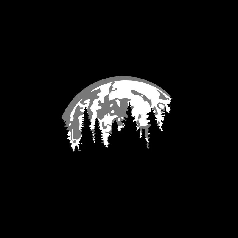 moon night full moon setting tree forest conifer