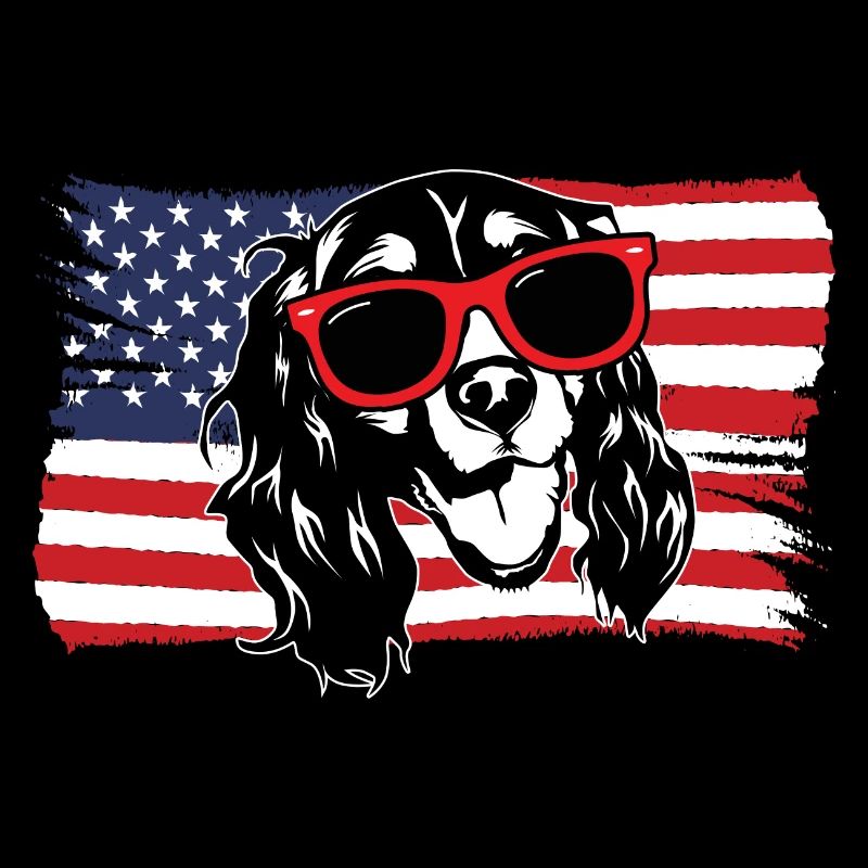 English Springer Spaniel Hund