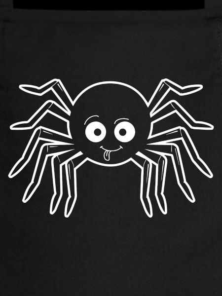 Spider spiders animals