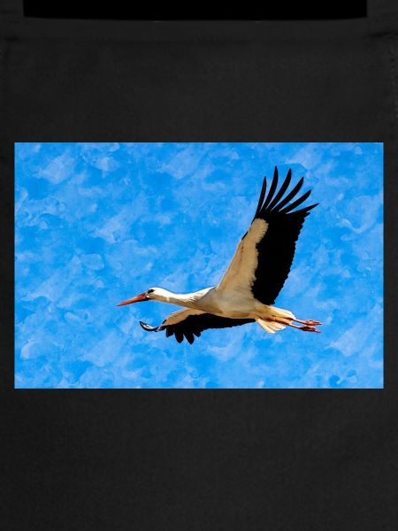 Stork in flight