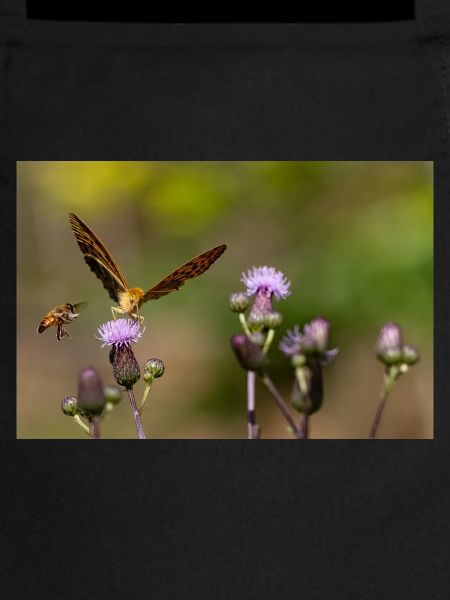 Silver-washed fritillary