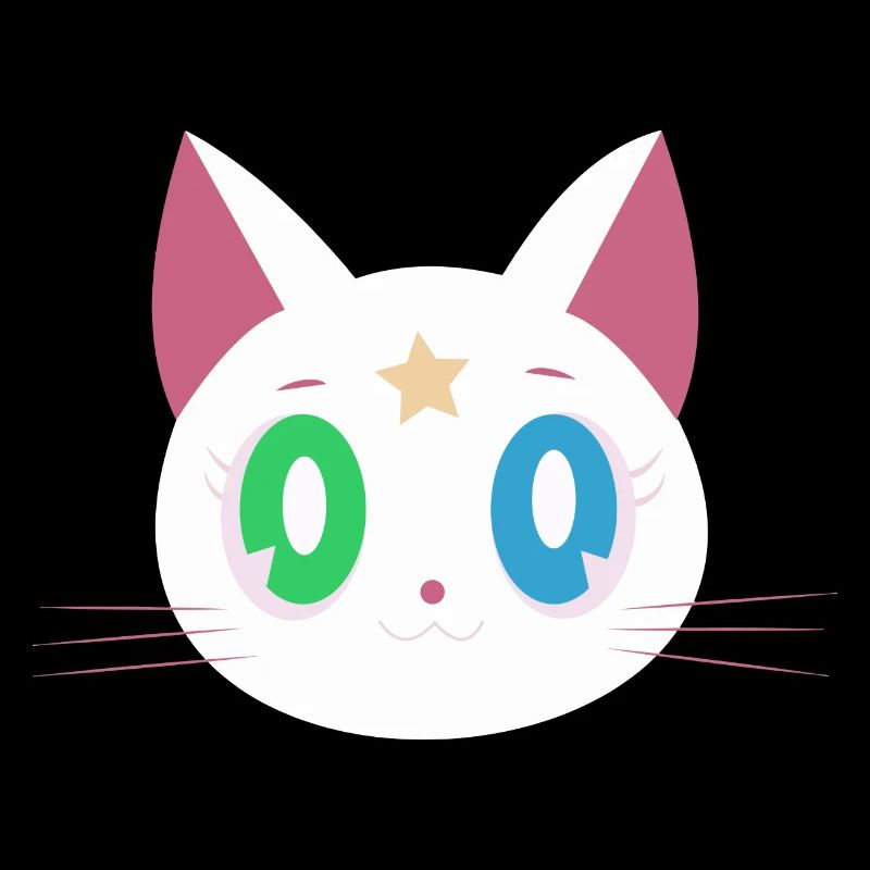 Chat drôle