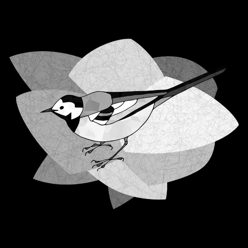 Bachstelze Vogel