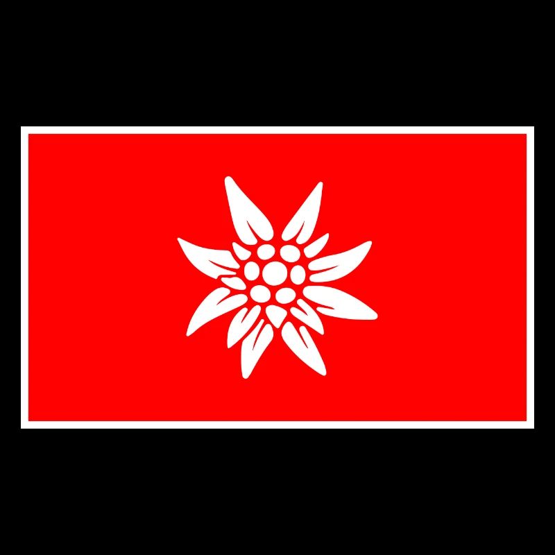Schweizer Flagge