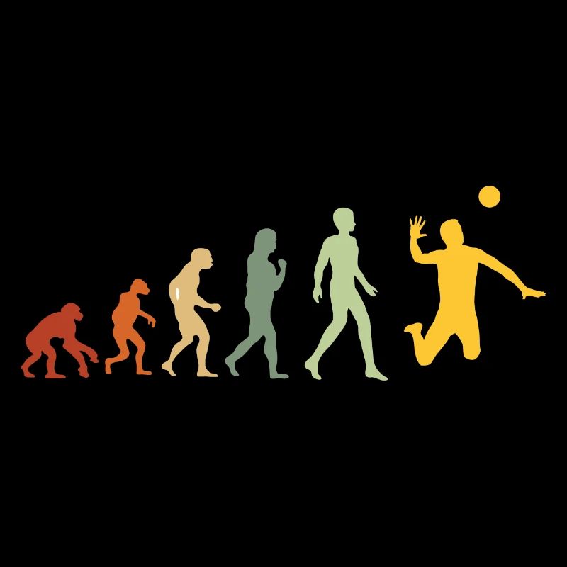Evolution Volleyball Volleyball Volleyball