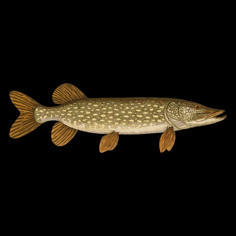 Pike Bait Pike Angler Pike Pike Pike