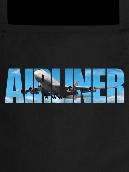 Airliner Jumbo Jet