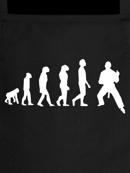 Art martiaux évolution