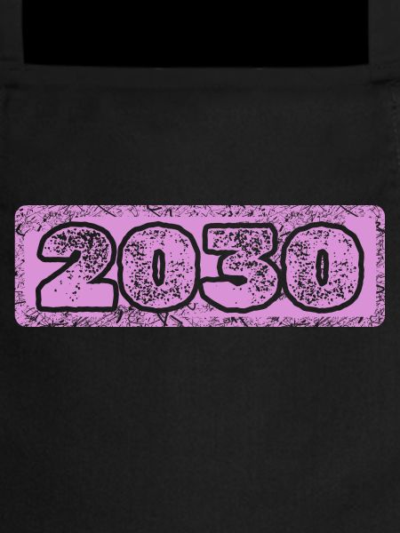 Year 2030