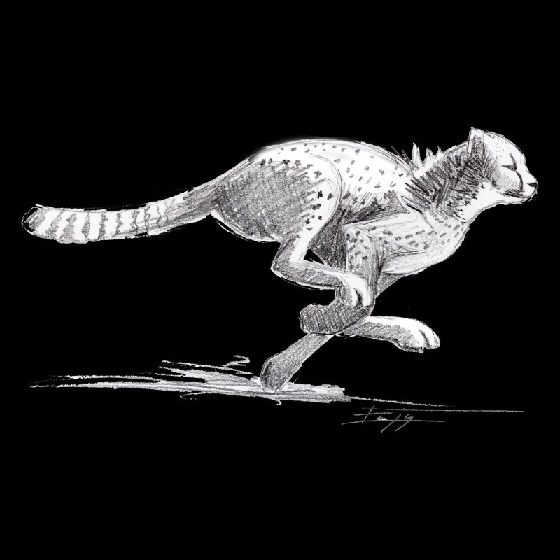 Guépard
