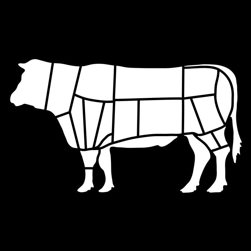 fleisch fleischer_b1
