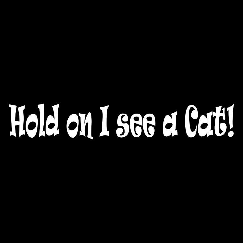 Hold on i see a Cat