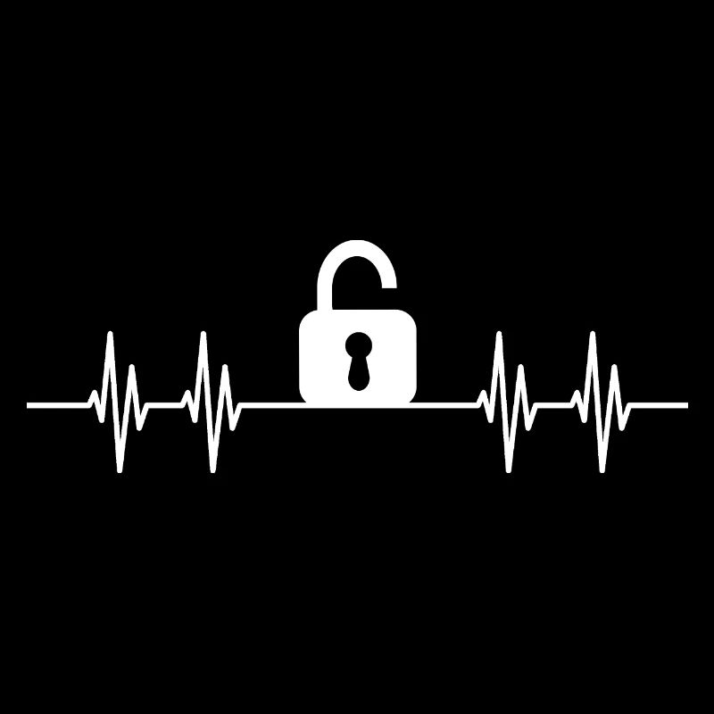 Lock Picker Lockpicking