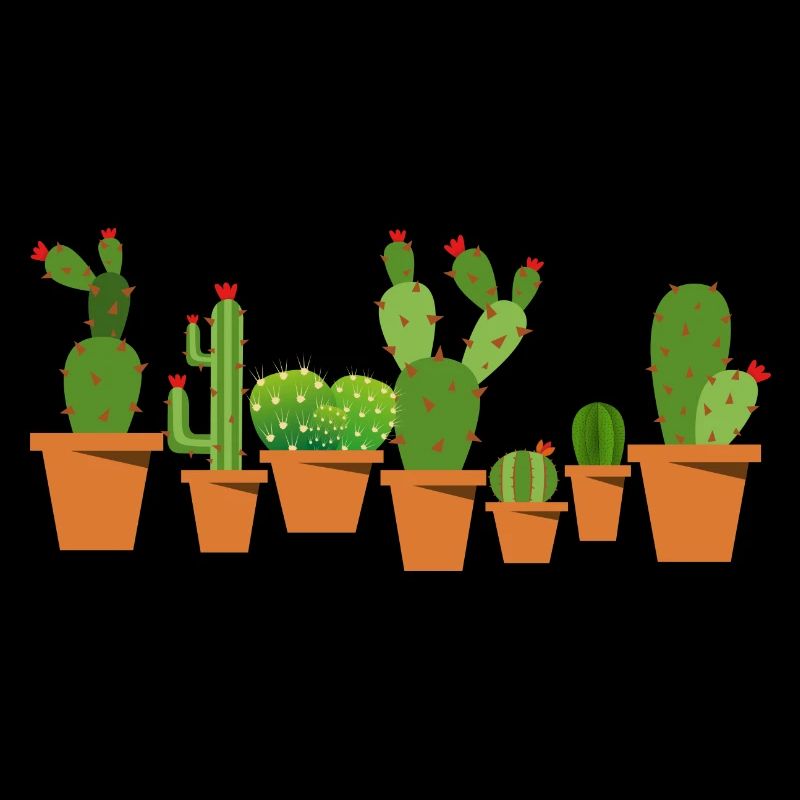 Cacti in pots