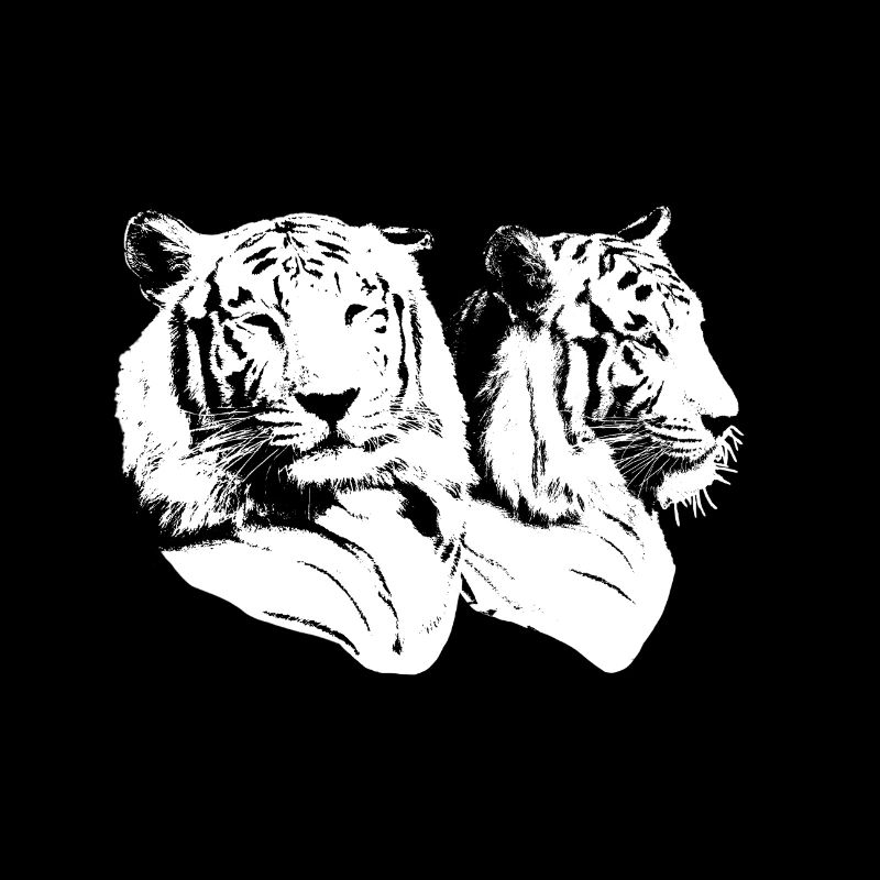 Tiger head structure, front, side, white