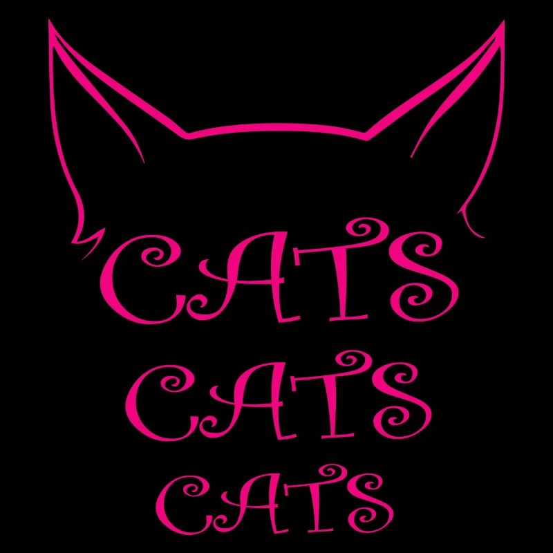 Chat Katze