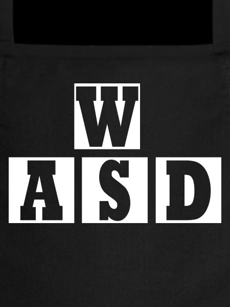 W A S D
