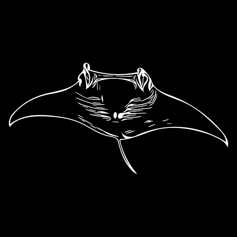 Mantarochen im Gleitflug durch Wasser