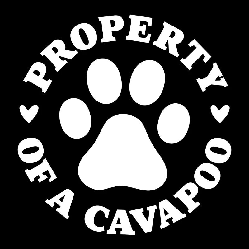 Property of a Cavapoo