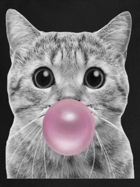 Chat bulle