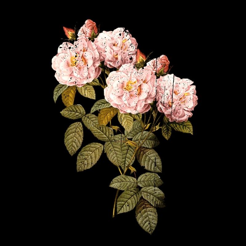 Fard à joues Rose Vintage Botanique