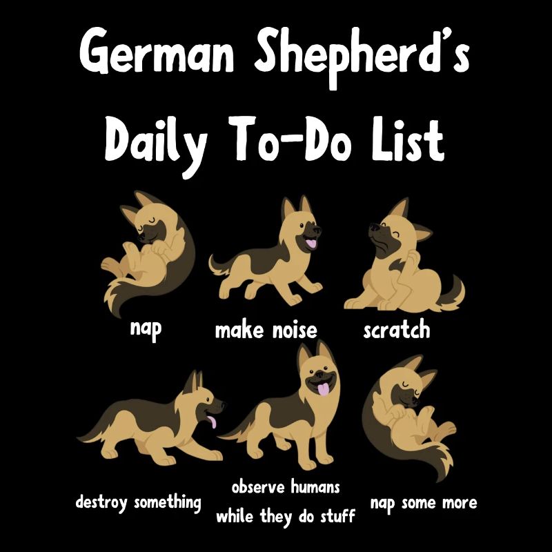 German shepherd