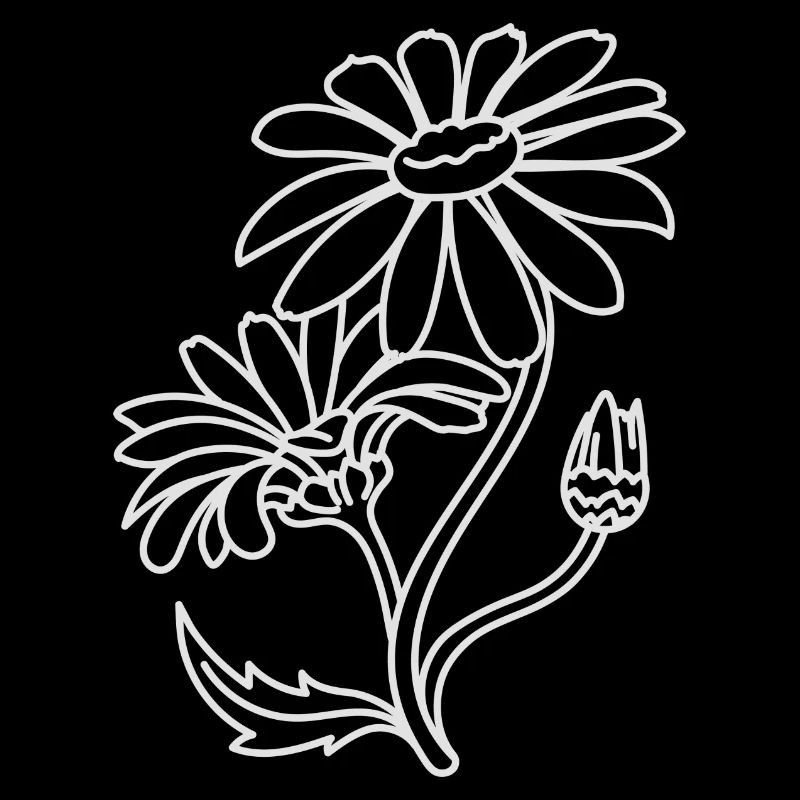 Einfache Gänseblümchen