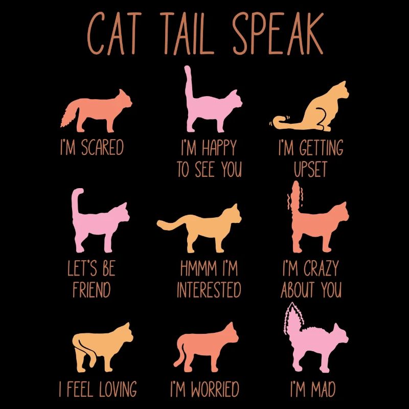 Cat Tail Speak