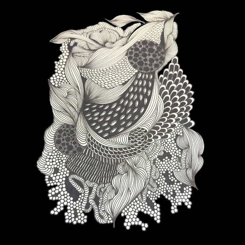 Koi Line Pattern Elegy