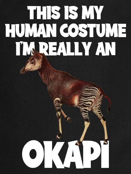 Okapi Zoo Expedition