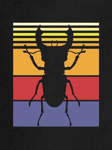 Insecte