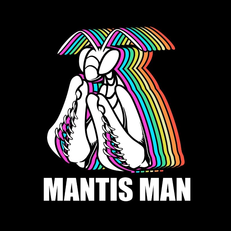 Gottesanbeter Gottesanbeterin Mantis