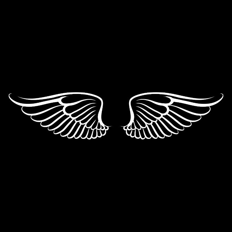 The wings