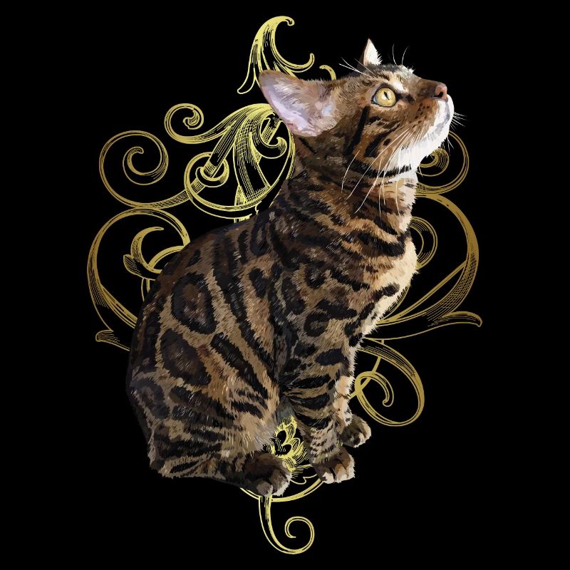 Chat du Bengale