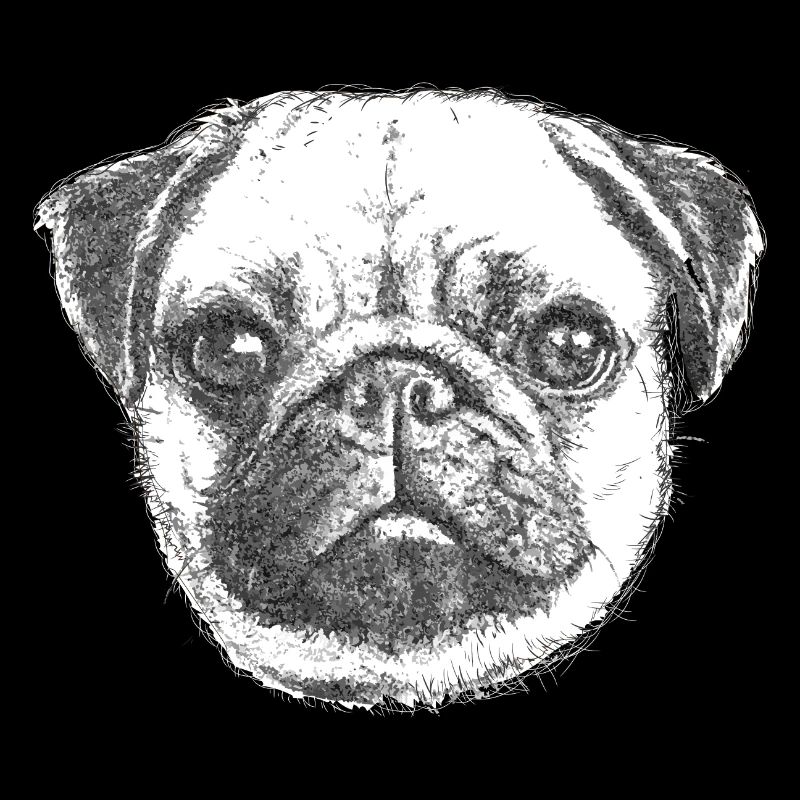 PUG | MOPS - DRAWN