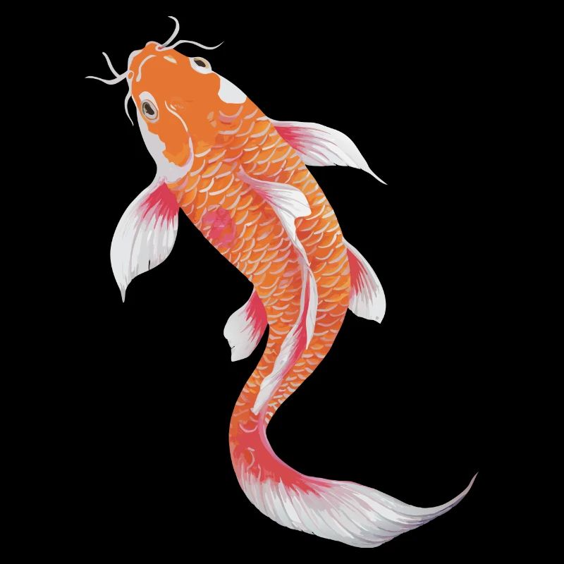 Koi Fish Carp Japan China Fish