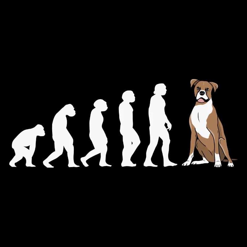 Evolution Boxer
