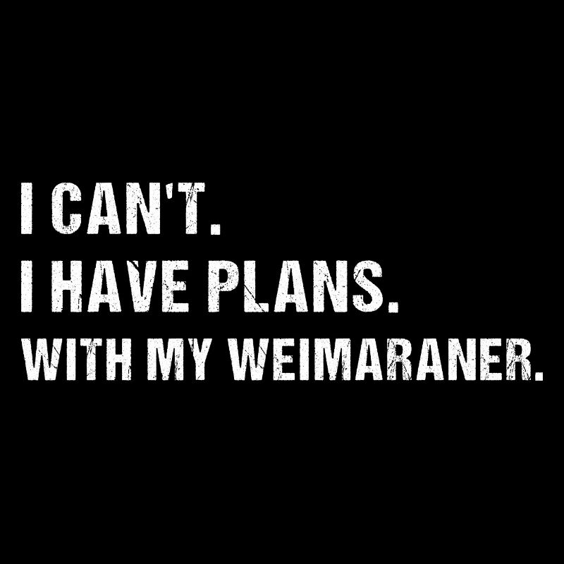 J’ai des plans. Avec mon braque de Weimar