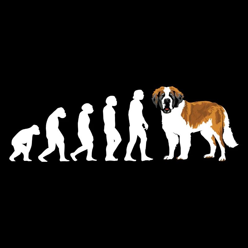 Evolution Saint-Bernard